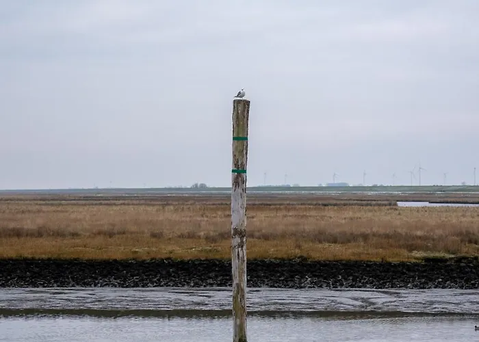 아파트 Aurora#2 Traumhaft Ruhige Lage *