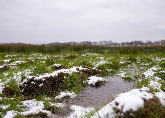 Aurora#2 Traumhaft Ruhige Lage * Friedeburg (Lower Saxony)